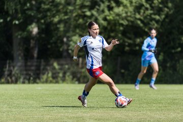 Bild 38 - wBJ Hamburger SV - VfL Wolfsburg : Ergebnis: 5:1